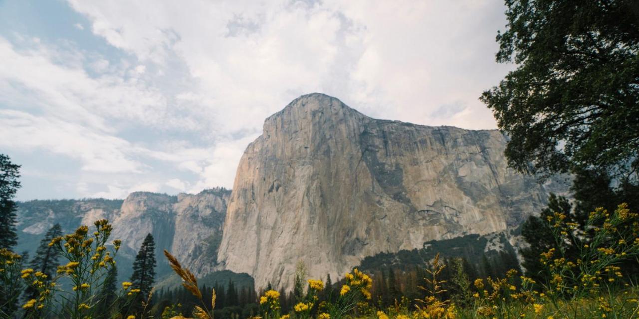 Autocamp Yosemite Otel Midpines Dış mekan fotoğraf